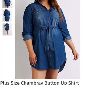 BNWOT Denim Shirt Dress